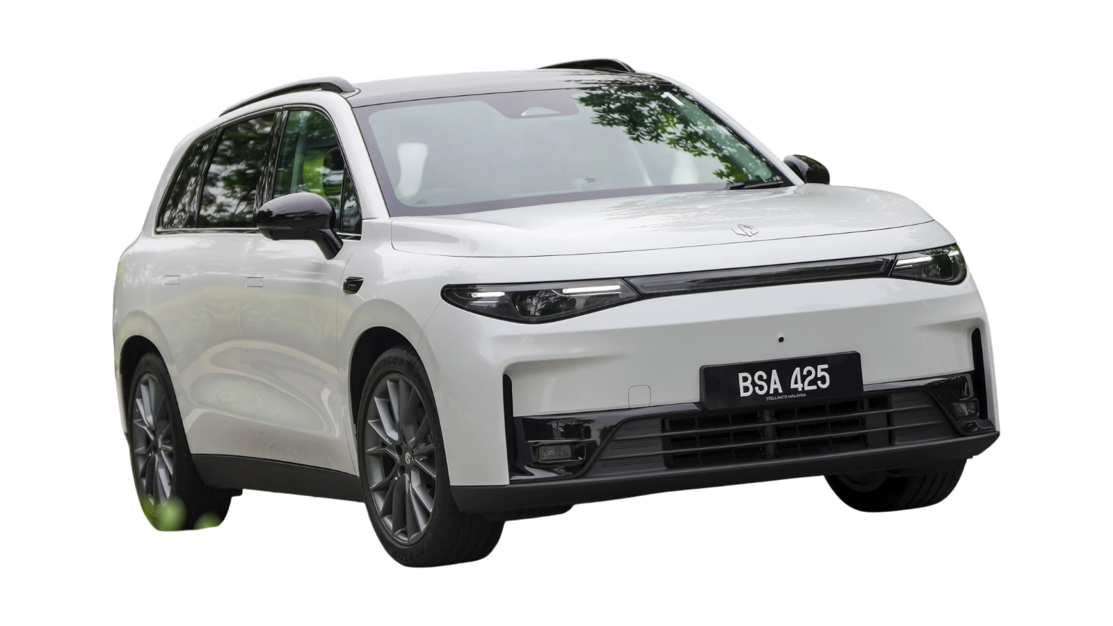 LEAPMOTOR C10